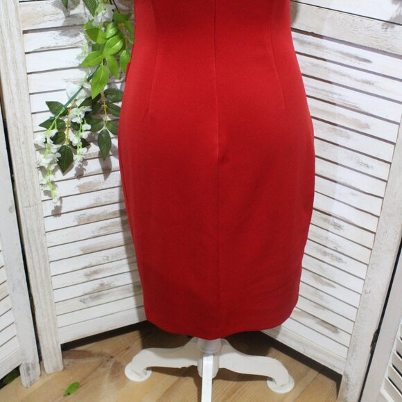 Calvin Klein Sleeveless Sheath Dress with Sunburst - Picture 9 of 16